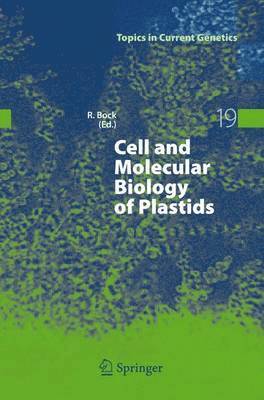 bokomslag Cell and Molecular Biology of Plastids