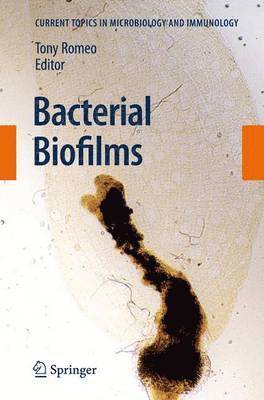 Bacterial Biofilms 1