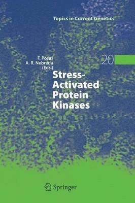 Stress-Activated Protein Kinases 1