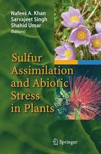 bokomslag Sulfur Assimilation and Abiotic Stress in Plants