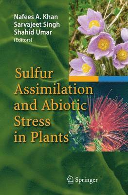Sulfur Assimilation and Abiotic Stress in Plants 1