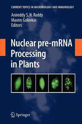 Nuclear pre-mRNA Processing in Plants 1