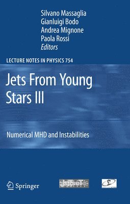 Jets From Young Stars III 1