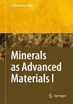 bokomslag Minerals as Advanced Materials I