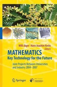 bokomslag Mathematics  Key Technology for the Future
