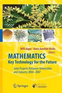 bokomslag Mathematics - Key Technology for the Future