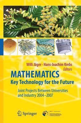 bokomslag Mathematics - Key Technology for the Future