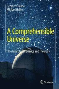 bokomslag A Comprehensible Universe