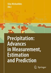 bokomslag Precipitation: Advances in Measurement, Estimation and Prediction