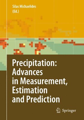 bokomslag Precipitation: Advances in Measurement, Estimation and Prediction