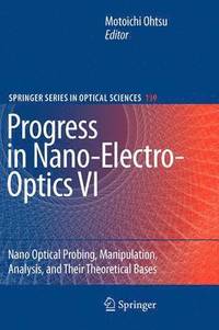 bokomslag Progress in Nano-Electro-Optics VI