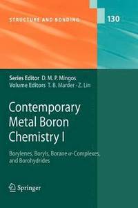 bokomslag Contemporary Metal Boron Chemistry I