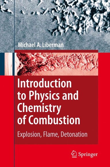 bokomslag Introduction to Physics and Chemistry of Combustion