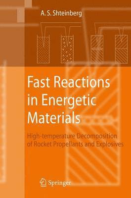 bokomslag Fast Reactions in Energetic Materials