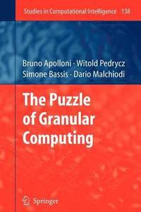 bokomslag The Puzzle of Granular Computing