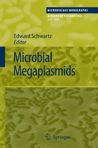 bokomslag Microbial Megaplasmids