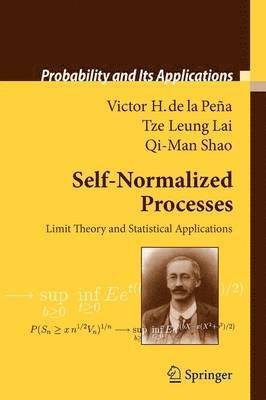 Self-Normalized Processes 1
