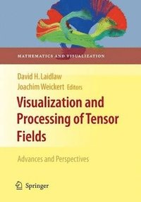 bokomslag Visualization and Processing of Tensor Fields