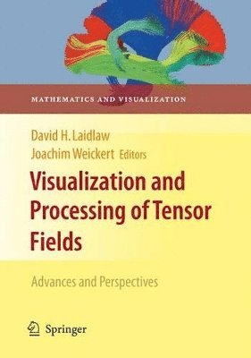 Visualization and Processing of Tensor Fields 1