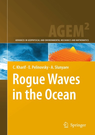Christian Kharif, Efim Pelinovsky, Alexey Slunyaev - Rogue Waves in the Ocean, Häftad