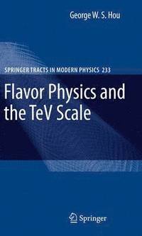 bokomslag Flavor Physics and the TeV Scale