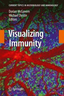 Visualizing Immunity 1