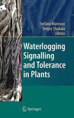 Waterlogging Signalling and Tolerance in Plants
