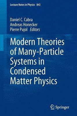bokomslag Modern Theories of Many-Particle Systems in Condensed Matter Physics