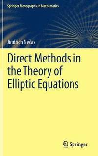 bokomslag Direct Methods in the Theory of Elliptic Equations