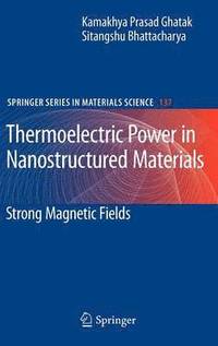 bokomslag Thermoelectric Power in Nanostructured Materials