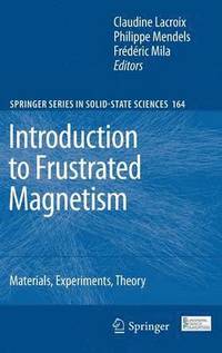 bokomslag Introduction to Frustrated Magnetism