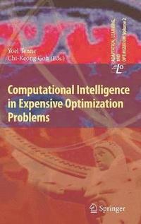 bokomslag Computational Intelligence in Expensive Optimization Problems