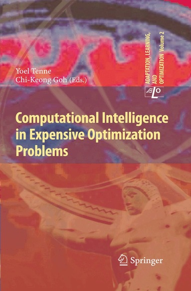 Yoel Tenne, Chi-Keong Goh - Computational Intelligence in Expensive Optimization Problems, Inbunden