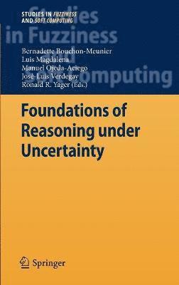 bokomslag Foundations of Reasoning under Uncertainty