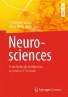 bokomslag Neurosciences - From Molecule to Behavior: a university textbook