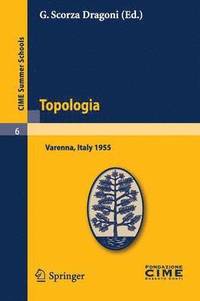 bokomslag Topologia