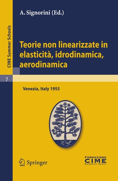 A. Signorini - Teorie non linearizzate in elasticità, idrodinamica e aerodinamica, Häftad