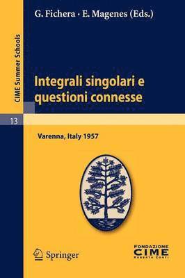 bokomslag Integrali singolari e questioni connesse