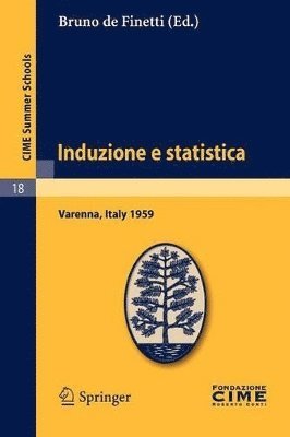 bokomslag Induzione e statistica