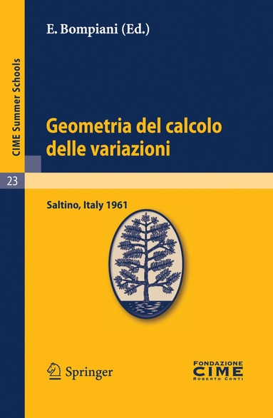 bokomslag Geometria del calcolo delle variazioni