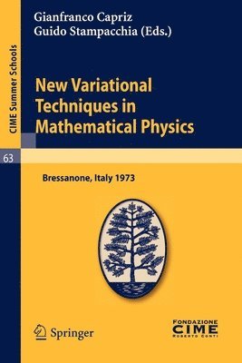 bokomslag New Variational Techniques in Mathematical Physics