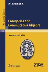 bokomslag Categories and Commutative Algebra