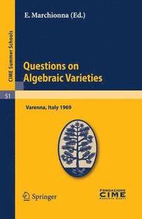 bokomslag Questions on Algebraic Varieties