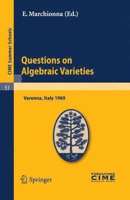 bokomslag Questions on Algebraic Varieties