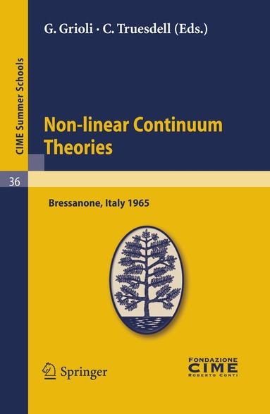 Giuseppe Grioli, C. Truesdell - Non-linear Continuum Theories, Häftad