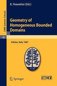 bokomslag Geometry of Homogeneous Bounded Domains
