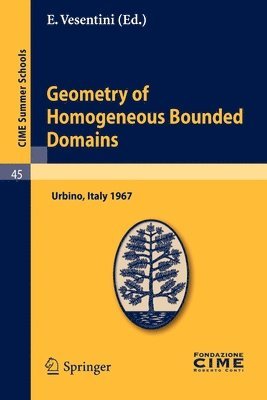 bokomslag Geometry of Homogeneous Bounded Domains