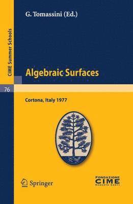 bokomslag Algebraic Surfaces