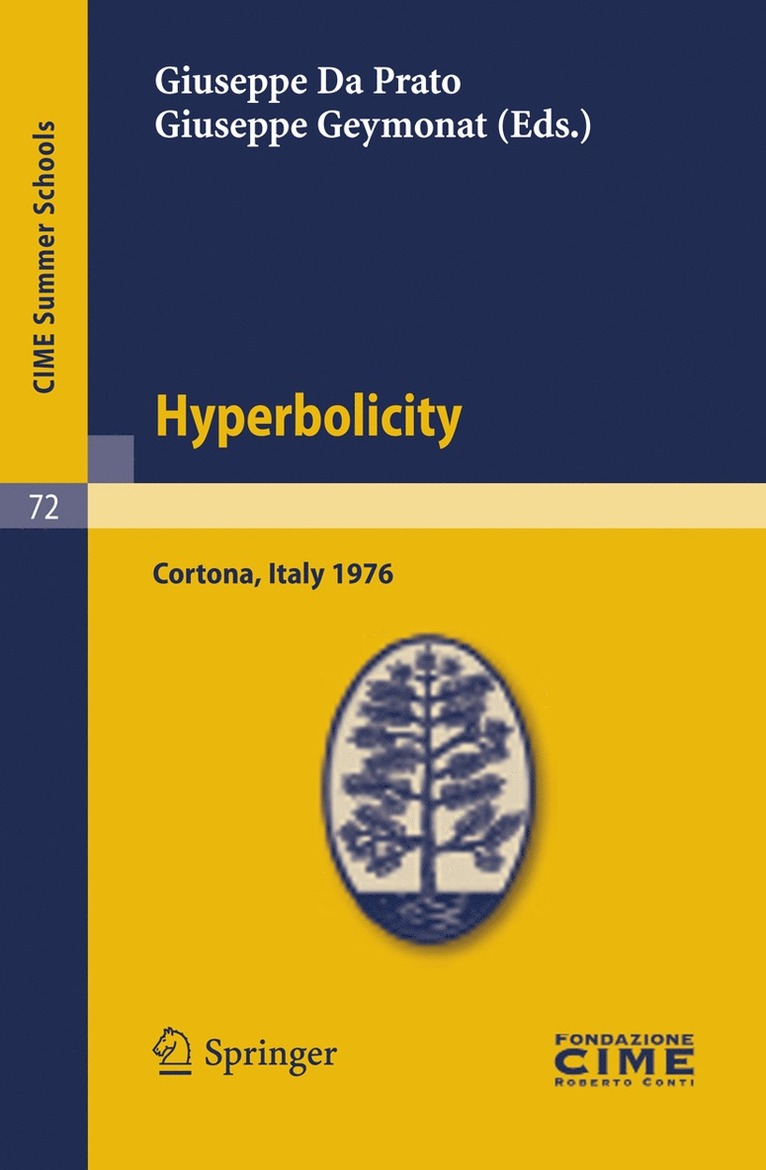 Giuseppe Da Prato, Giuseppe Geymonat - Hyperbolicity, Häftad