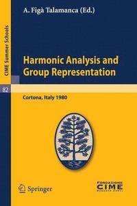 bokomslag Harmonic Analysis and Group Representations